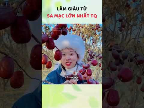 "Vùng đất thiên đường" bên sa mạc lớn nhất TQ #sautrongtanla