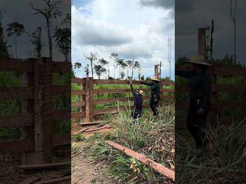 Fazendo porteira 🤠 #trabalho #porteira #porteiras