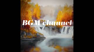 BGM channel - Poplars (Official Music Video)