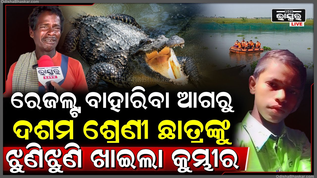 ବାହାରିଥାନ୍ତା ରେଜଲ୍ଟ, ବାପା ଆଖି ଆଗରେ ପୁଅକୁ ଟାଣି ଖାଇଲା କୁମ୍ଭୀର... ପୁଅକୁ ଏଭଳି ଦେଖି ବାପା...