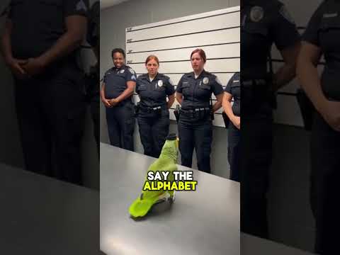 Parrot Has the Funniest Police Demands #parrot #funnyshorts #laugh
