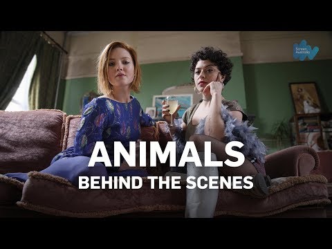 Animals - Behind The Scenes