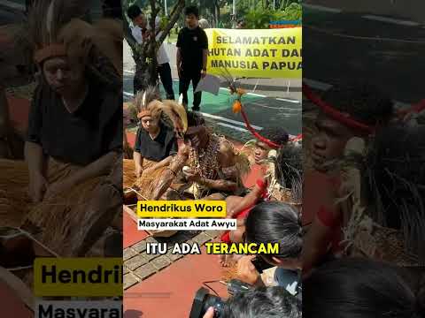 Hutan Adat Papua akan dibabat Masyarakat Adat datang ke Jakarta