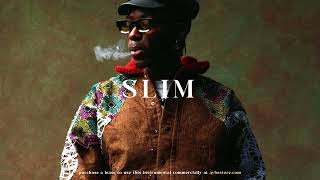 Wizkid x Rema Type Beat - "Slim" | Afrobeat Instrumental 2025