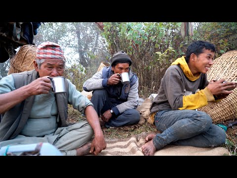 mountain shepherd group in Nepal || shepherd life of Nepal @ruralnepalquest