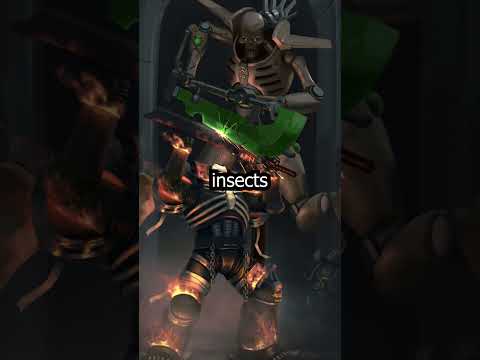 Could The Necrons WIN Warhammer?! PROBABLY! - The RIGHTFUL RULERS Of The GALAXY!