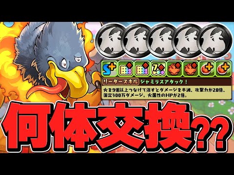 ジャミラスは何体交換すべき！？徹底解説！知らないと損！無課金～微課金向け！【パズドラ】
