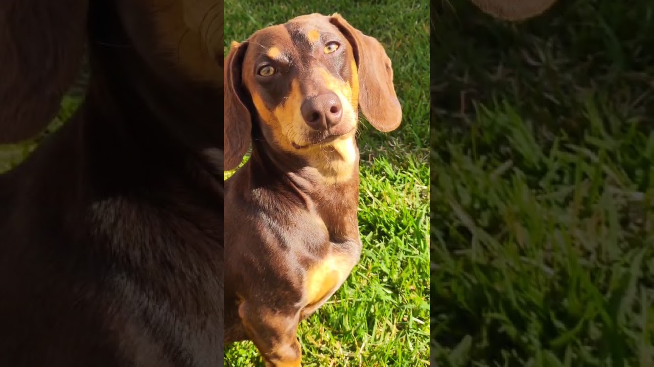 Como utilizar o terminal integrado do Visual Studio Code | Bruno Brito