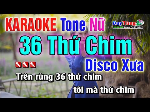 Karaoke || 36 Thứ Chim – Tone Nữ ( Diệu Disco Xưa ) Nhạc Sống Duy Tùng