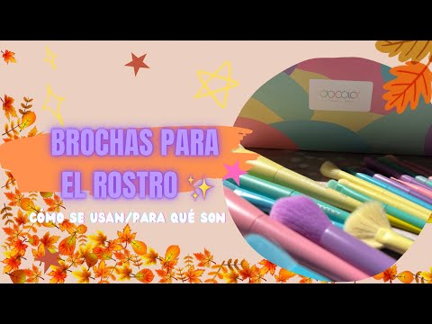 BROCHAS PARA EL ROSTRO/COMO SE USAN Y PARA QUE FUNCIÓN TIENEN 🩷