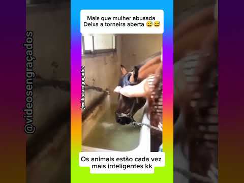 Cavalo inteligente 😅🤭 #humor #memes #comedia #fyp