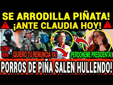 PASO AHORITITA ¡CLAUDIA MDREA A PIÑA LA HIZO QUE LA RESPETE! ¡MÉXICO EXIGE RENUNCIA!