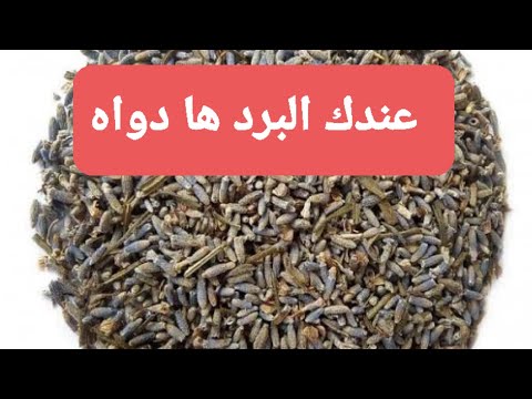 وصفة الخزامى للبرد في الرحم