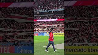 ⚪️🔴⚪️PORQUE A RIVER LO QUIERO LO VENGO A ALENTAR #riverplate #argentina #futbol #sudamericana #RIVER