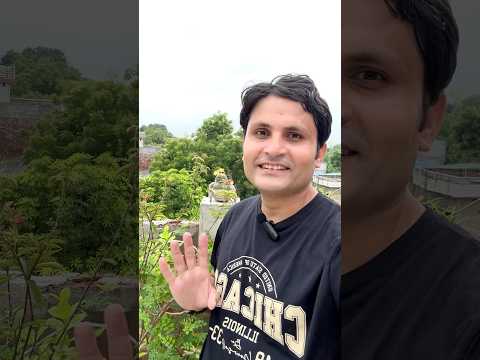 Don't you dare touch it ‼️☣️ my Mammillaria Cactus 🌵 with Yellow Flowers 💛