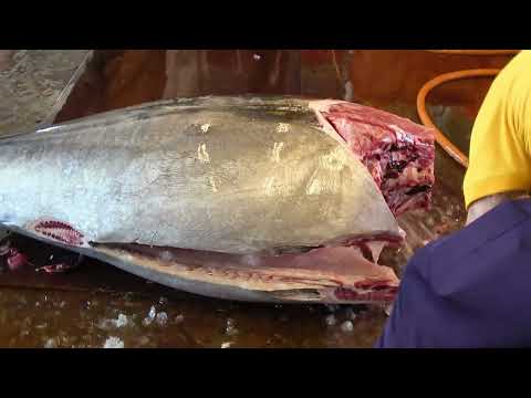 Revealed: The Incredible Process of Cutting a Large Bluefin Tuna