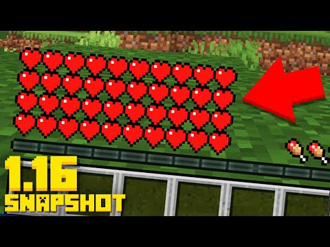 This 1.16 Snapshot just Changed Everything