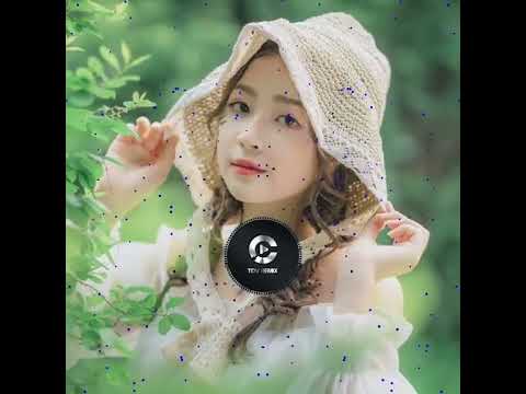 Tất cả sẽ thay em #vietmix #remixtiktok #remix #nhachaymoingay #nhacremix