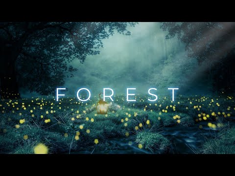 Forest - Healing Forest Ambience, Japan Meditation Music for The Body, Soul and Spirit, DNA Repair