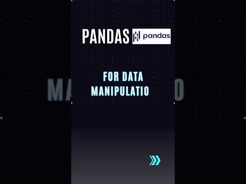 Top Python Libraries 2023