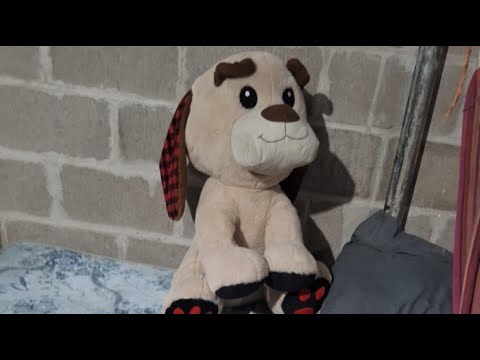 El Salvador Mimi Vlogs está en vivo