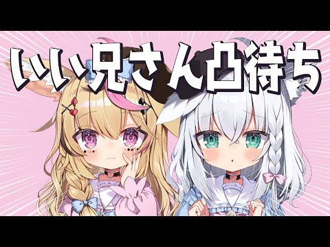 【激烈熱烈凸待ち】ふたりでおにいちゃん探します～～＞＜！！お兄さんはどこかにいますか？ #ぽるかの兄探し 【尾丸ポルカ/白上フブキ/ホロライブ】