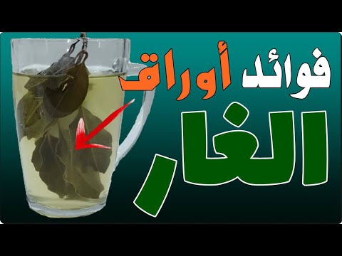 اشرب مغلي أوراق الغار قبل النوم وبعد 7 أيام هذا ما سوف يحدث لجسمك وفق أحدث الدراسات