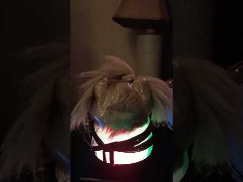 this is my PuppyBot Bleep Blorp #Art #Robot #halloween2025