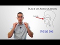 Pronunciation and Articulation Concepts