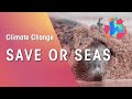 Ocean Conservation and Pollution Awareness