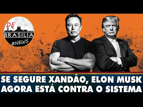 Elon Musk fará parte ativa do governo Trump. 14/11