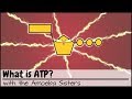 ATP and Its Role in Cellular Processes