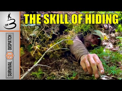 The Edge of URBAN SURVIVAL: Hidden Shelter & Fire With Limited Gear