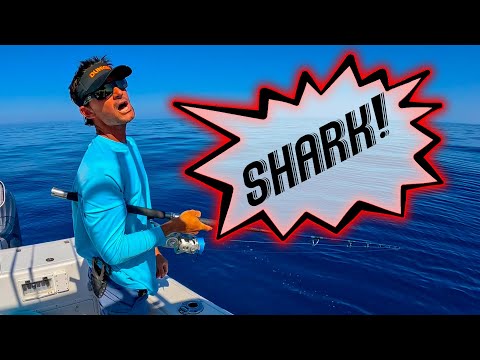 This will RUIN a Day of Fishing! + New Reel Reveal