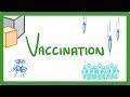 Understanding Vaccines