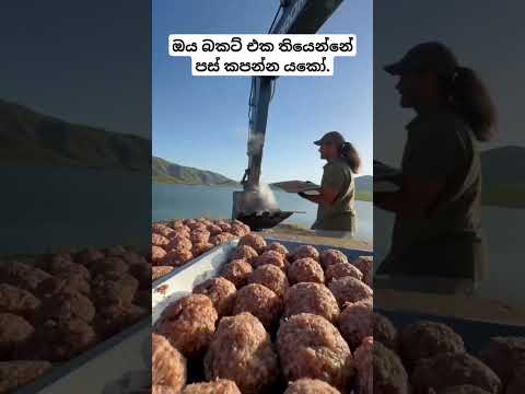 කෝකියෙක් වෙන්න හිටපු එකෙක් ඔපරේටර් කෙනෙක් වුනාම.#excavator#constructionequipment#funny