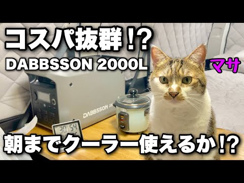 高コスパと話題のポータブル電源を使って猫のマサと車中泊【DABBSSON 2000L】|キャンピングカーのようにDIYで改造したハイエース