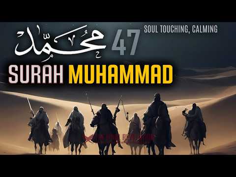 Surah Muhammad with English Translation (سورة محمد) Most CALMING, Soul Touching Recitation
