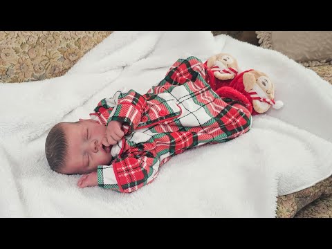 nlovewithreborns2011 is live changing reborn doll for sale