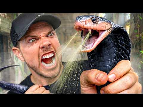 I Found a Cobra in an Abandoned Hotel!