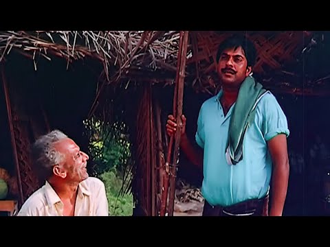 അനിയൻ ഈ നാട്ടിൽ പുതിയതാണല്ലേ... | Malayalam Movie Scenes | Mammootty