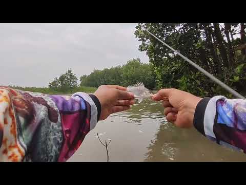 Amazing ‼️ Fishing during high tide 🎣 #fishing