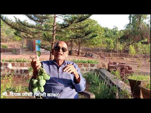 कोकण मेवा