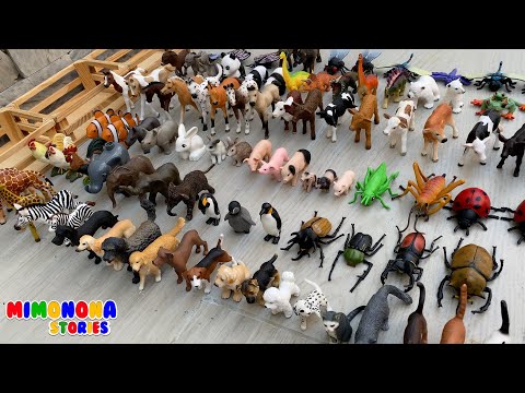 Mini figuras de animales 🐈🐕 Colección de animales 🦓🦒 Perros Gatos Terneros y mas ✨ Mimonona Stories