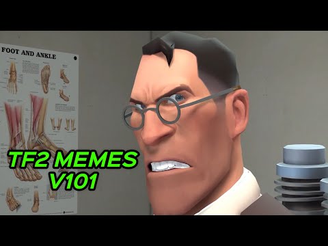 TF2 MEMES V101