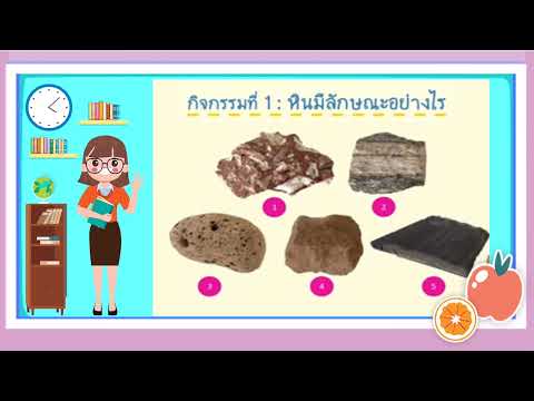 หินมีลักษณะอย่างไร (ฉันรู้อะไร) ทำแบบฝึกหัดหน้า 48-49 (060165)