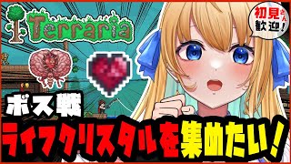 【テラリア/Terraria/作業用BGM】全ボス討伐を目指して！ライフクリスタルMax！！【【ハーネル・グウテン/VTuber】】