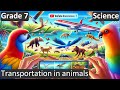 Plant Processes and Functions