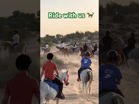 Desert horse riding in Dubai #horse #horsetrack #horseriding #equestrianjourney #equestrian