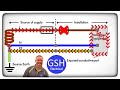 Understanding TN-S and TN-C-S Earthing Arrangements